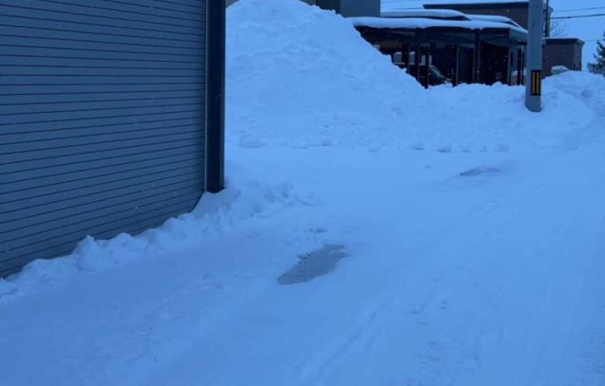 「嘘やろ?」除雪でできた雪の山のてっぺんをふと見たら……「すげぇ!!!」 驚きの光景が140万表示「え!」「さすが北海道」(1/3) | その他生き物 ねとらぼ