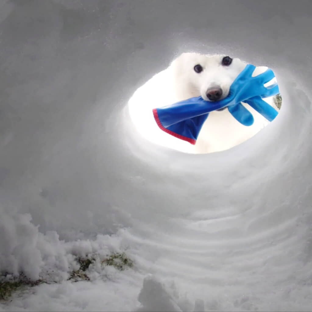 手袋を持ってきてくれた楽くん