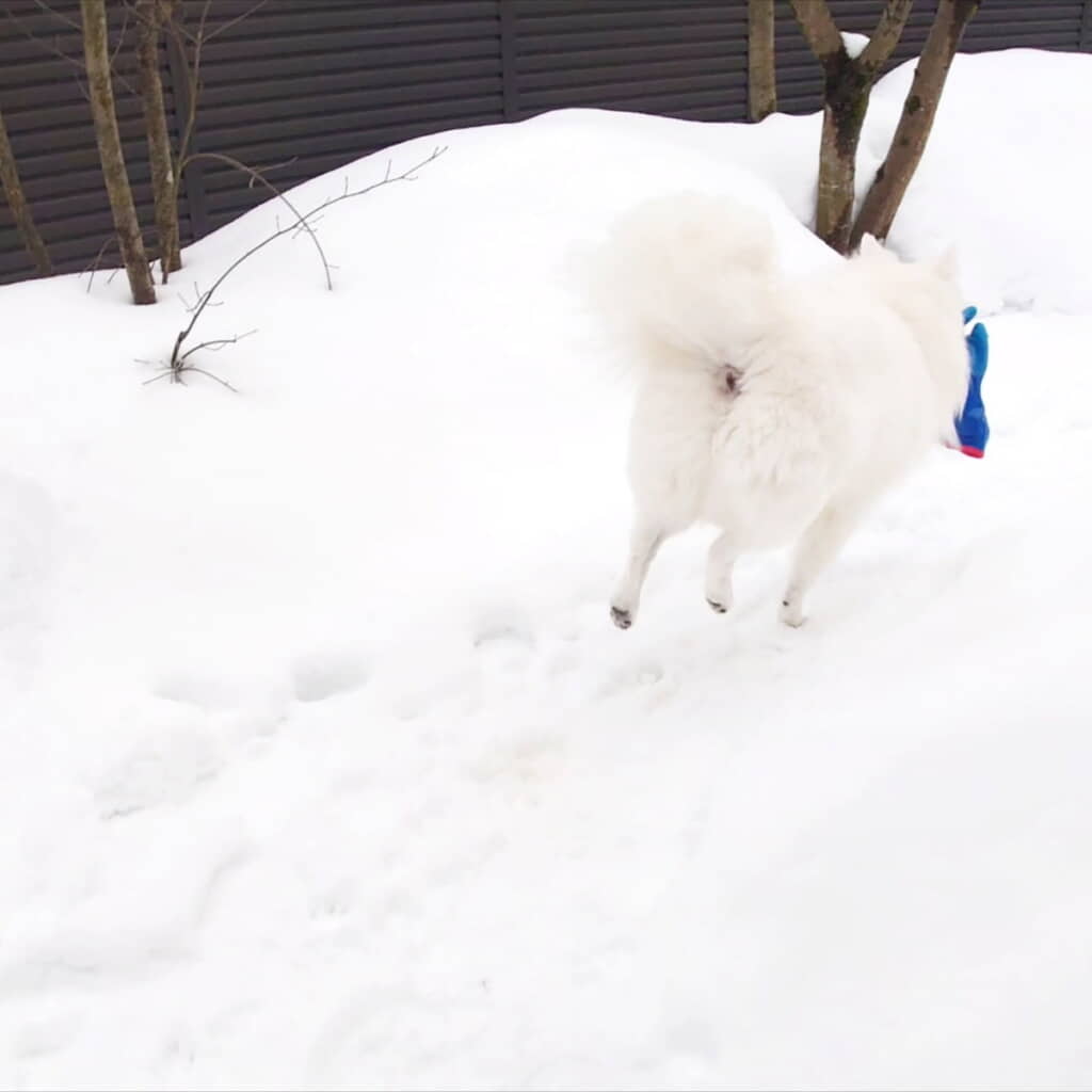 え!?　行っちゃうの!?