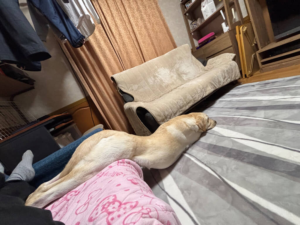 まさにすべり台！