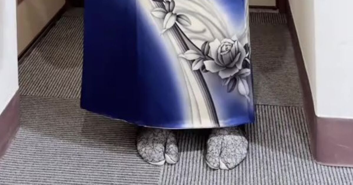 思い切って“着物でライブ参戦”したら…… 「その発想はなかった」まさかの着こなしに「かっこよ!」「なんかもう完璧」 | ファッション ねとらぼ