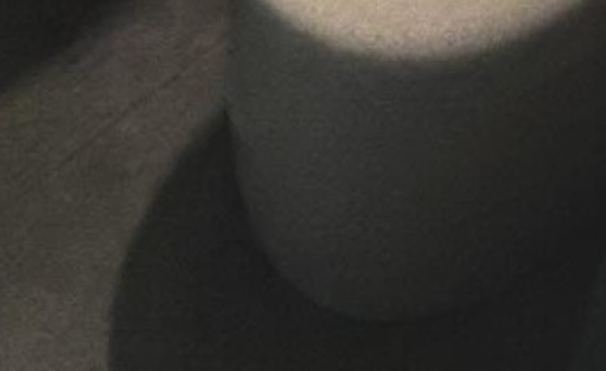 「我が家のトイレです」→「はあ!?」まさかの光景が63万表示「終わってるのに長居しちゃいそう」(1/3) | ライフハック ねとらぼ