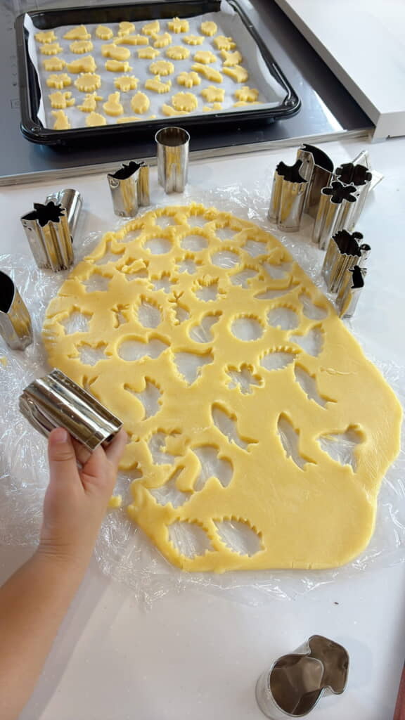 形が豊富で楽しい！