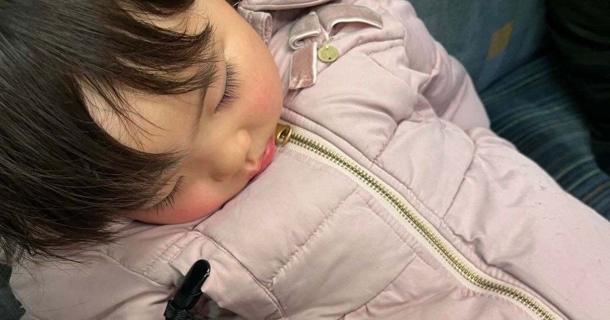 お出かけ終わりでぐったり眠る2歳娘→母が万歩計を確認すると……　衝撃の数字に「疲れやすいわけだ！」「歩きなさい！っていつも言ってごめんね」（1/3） | 育児 ねとらぼ