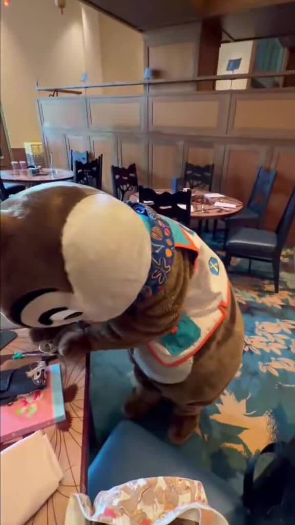 何かを描いているチップ