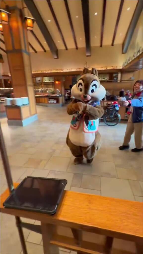 チップを追いかけるキャストさん