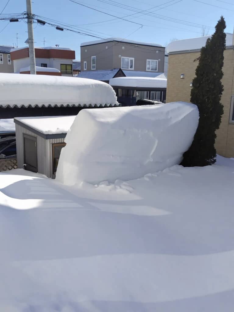 大雪の翌日に……