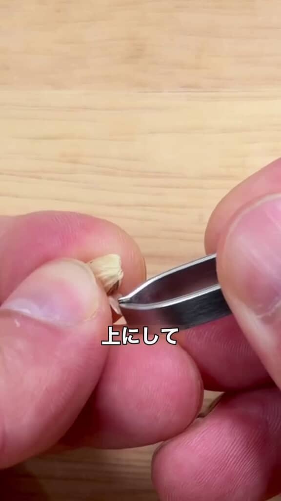 とがっている部分を上に向けた状態で種の皮をむく