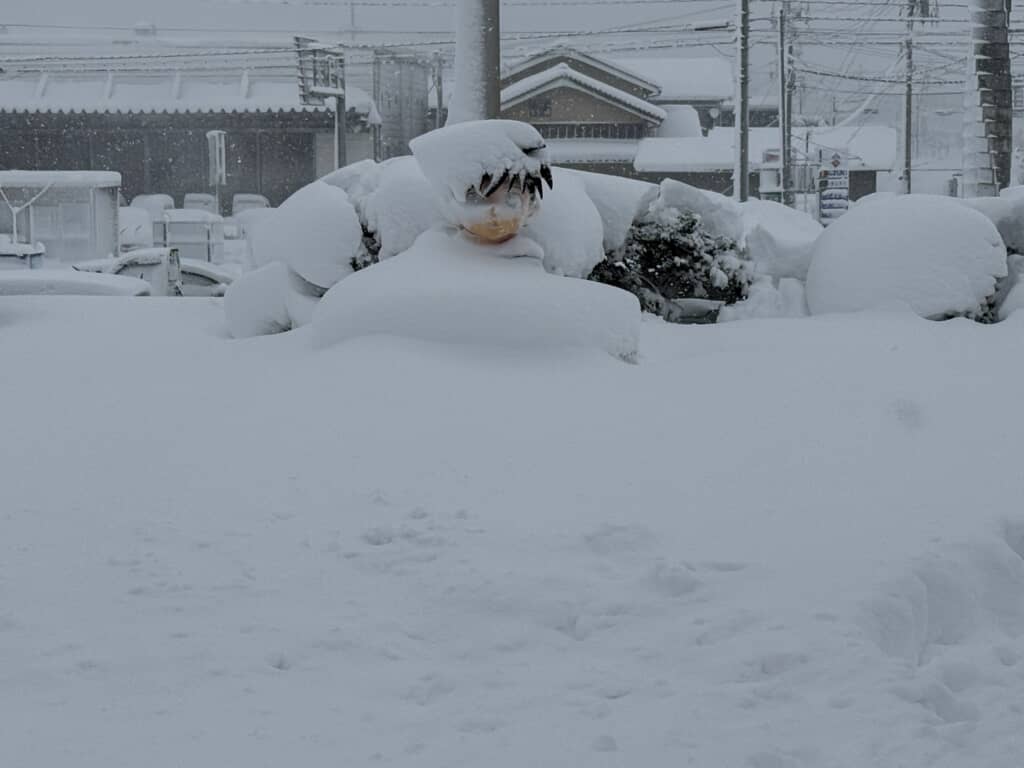 大雪で頭だけ見えるコナン像
