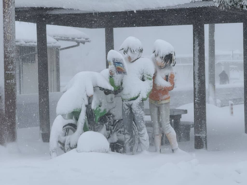 東屋で本を読む像と仲間、雪景色