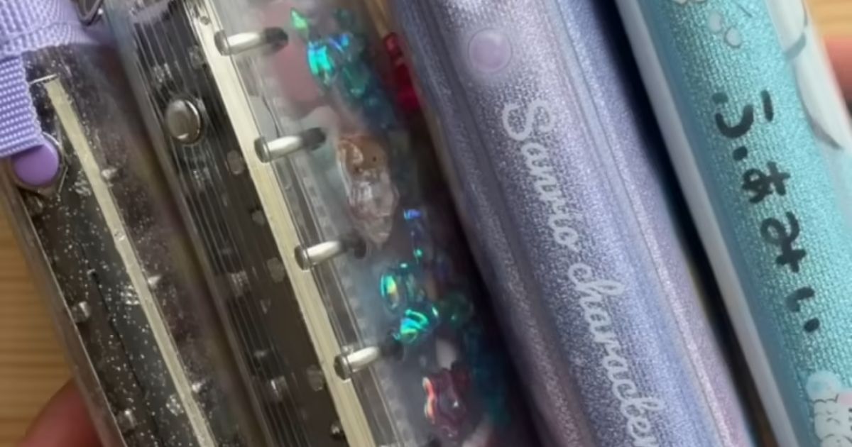 娘の“パンパンなシール帳”を見た母が、ダイソーに行き……　「え待って」娘驚きの解決策が300万再生「めっちゃいいじゃん」（1/3） | ライフハック ねとらぼ