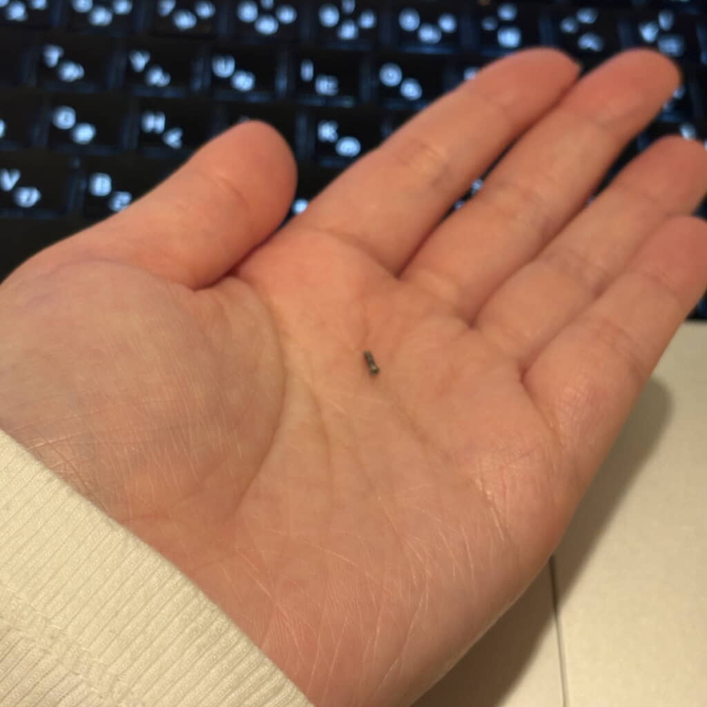 ちょっと角度を変えてみてもやはりネジ