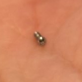 眼鏡のネジだった