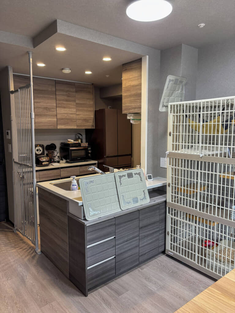 施工前のキッチン。見晴らしは良いけれど、ネコちゃんと暮らすにはちょっと不安