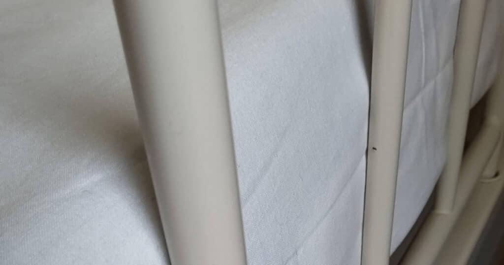 愛用のApple Pencilは一体どこへ……？