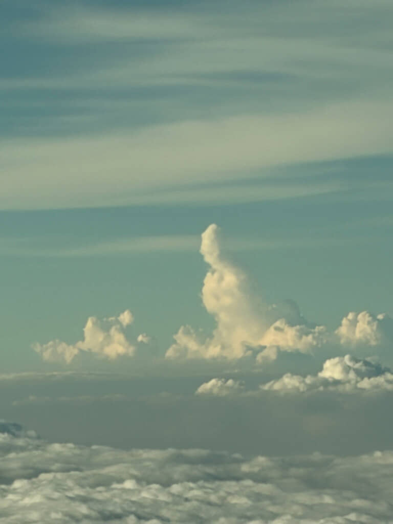 まさに来迎の瞬間