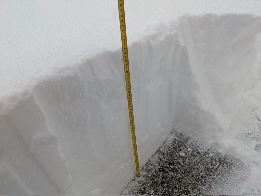 新雪だけで49cm