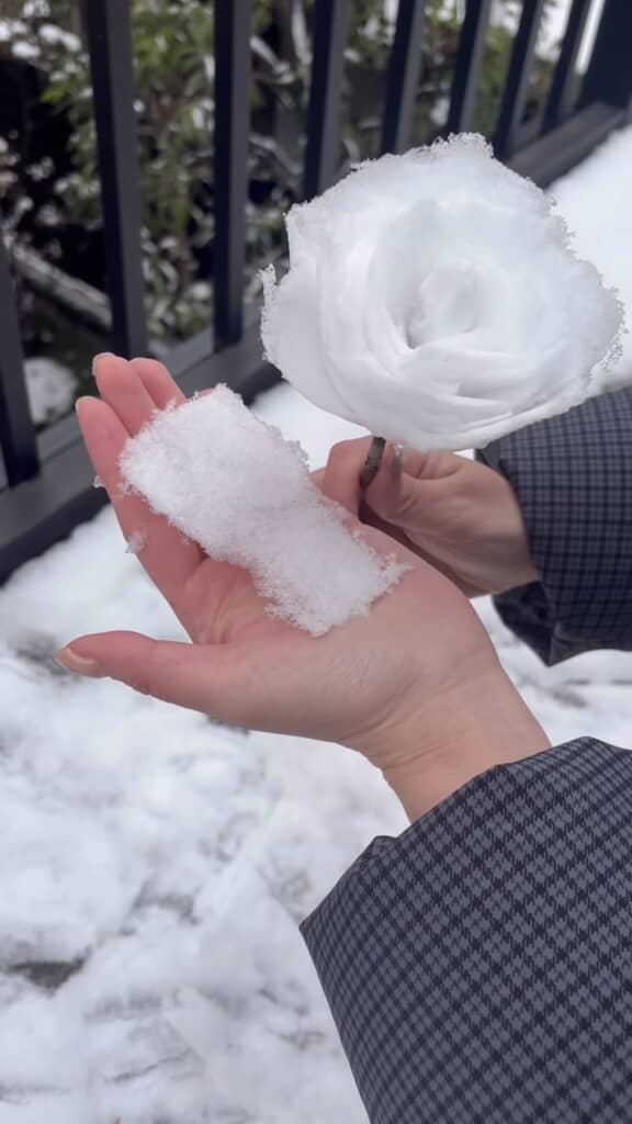 カードを型として作った雪を薔薇状の雪に加えようとしている