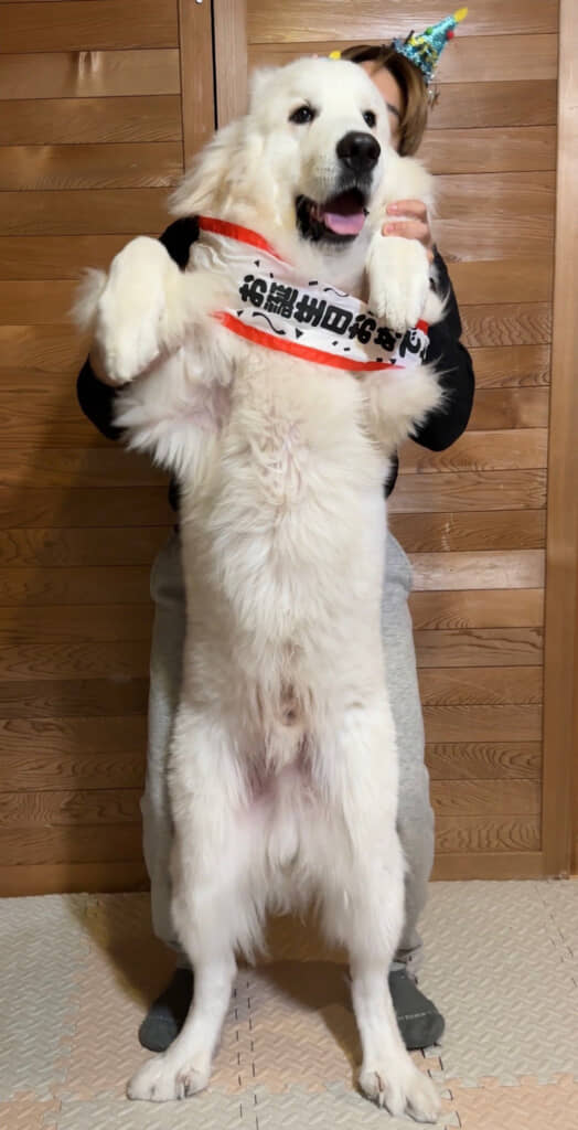 生後12カ月（1歳の誕生日当日の様子）