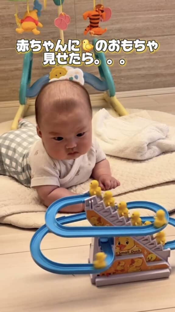 真剣な顔で見つめています