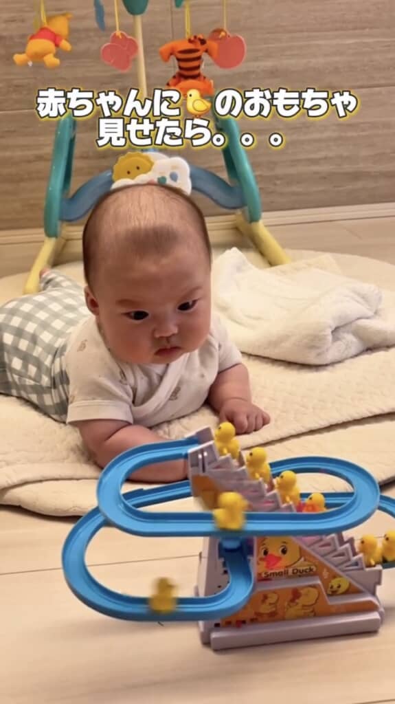 興味と警戒心が入り混じったような表情