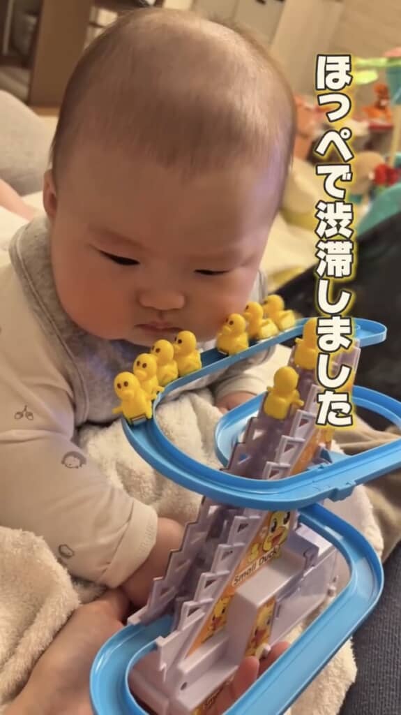 てんころくんのもちもちほっぺで、アヒルたちの渋滞が発生!