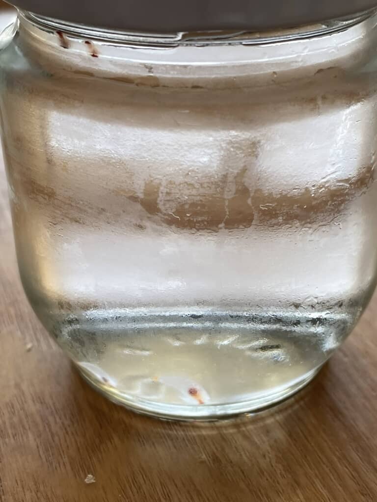 「流氷の妖精」を家の冷蔵庫で見られるとは……