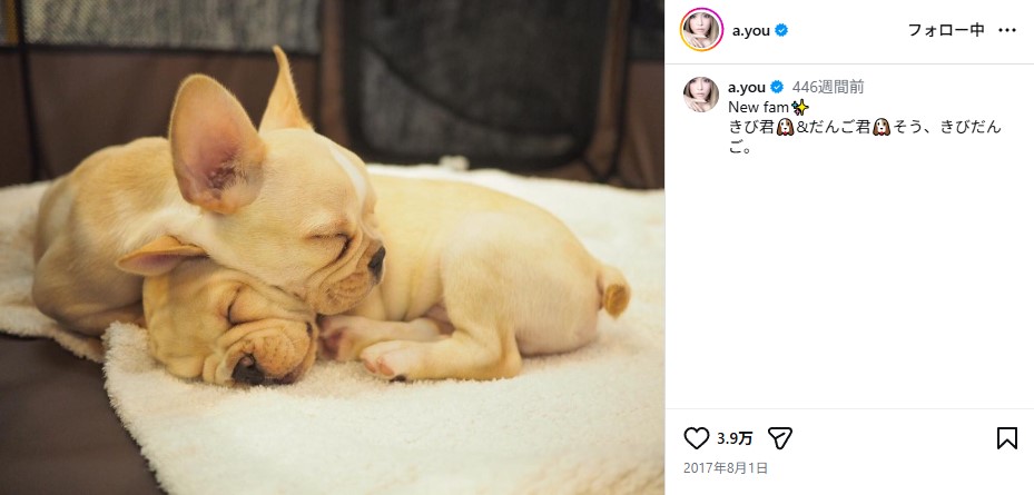 浜崎あゆみの愛犬