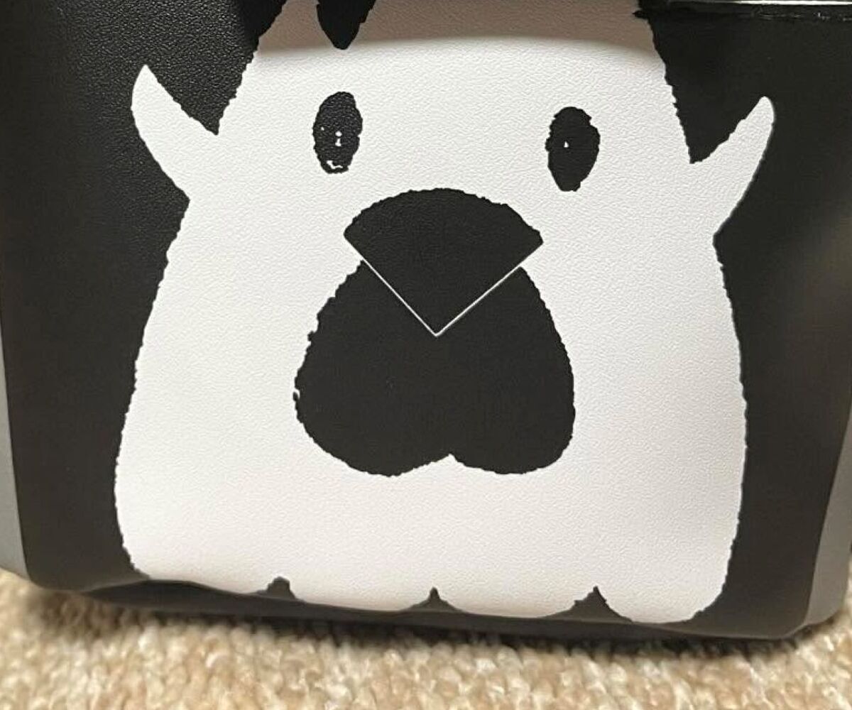 夫が買ってきた“からあげクン”→開けたら…… まさかの正体に「えっ初めて見た!」「今すぐローソン行かなきゃ」 | ライフスタイル ねとらぼ