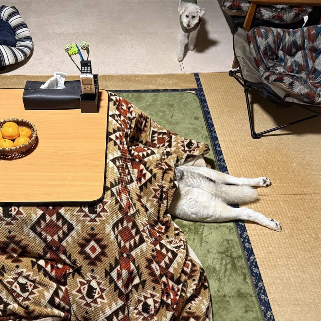 顔も見えない……