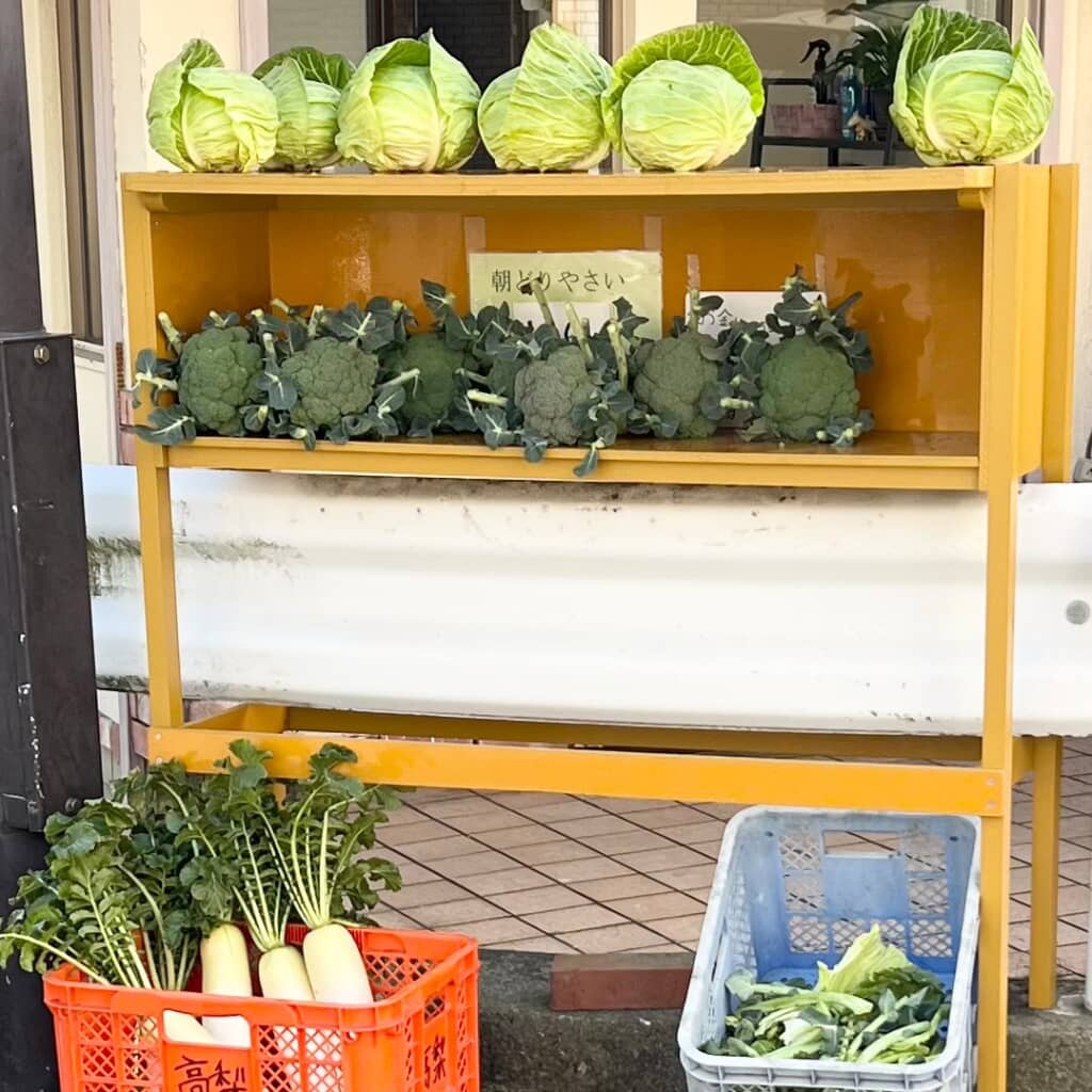 キャベツやブロッコリーなどが並ぶ