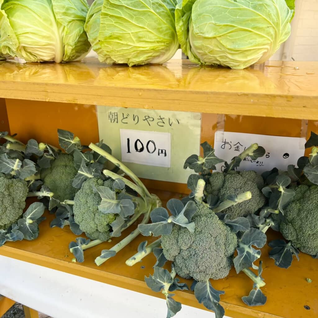 まさかの100円！