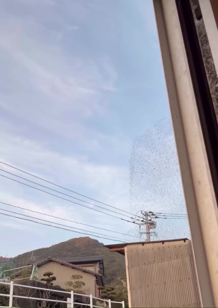 空に何かを発見！