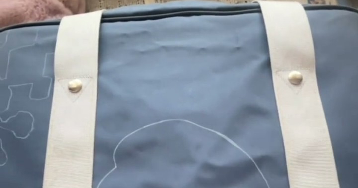 ディズニーに持って行くスクールバッグに落書きしたら、3日後……「多分ディズニーからオファー来る」「先生怒る前にすごいが勝つ」と200万再生（1/2） | 絵画 ねとらぼ