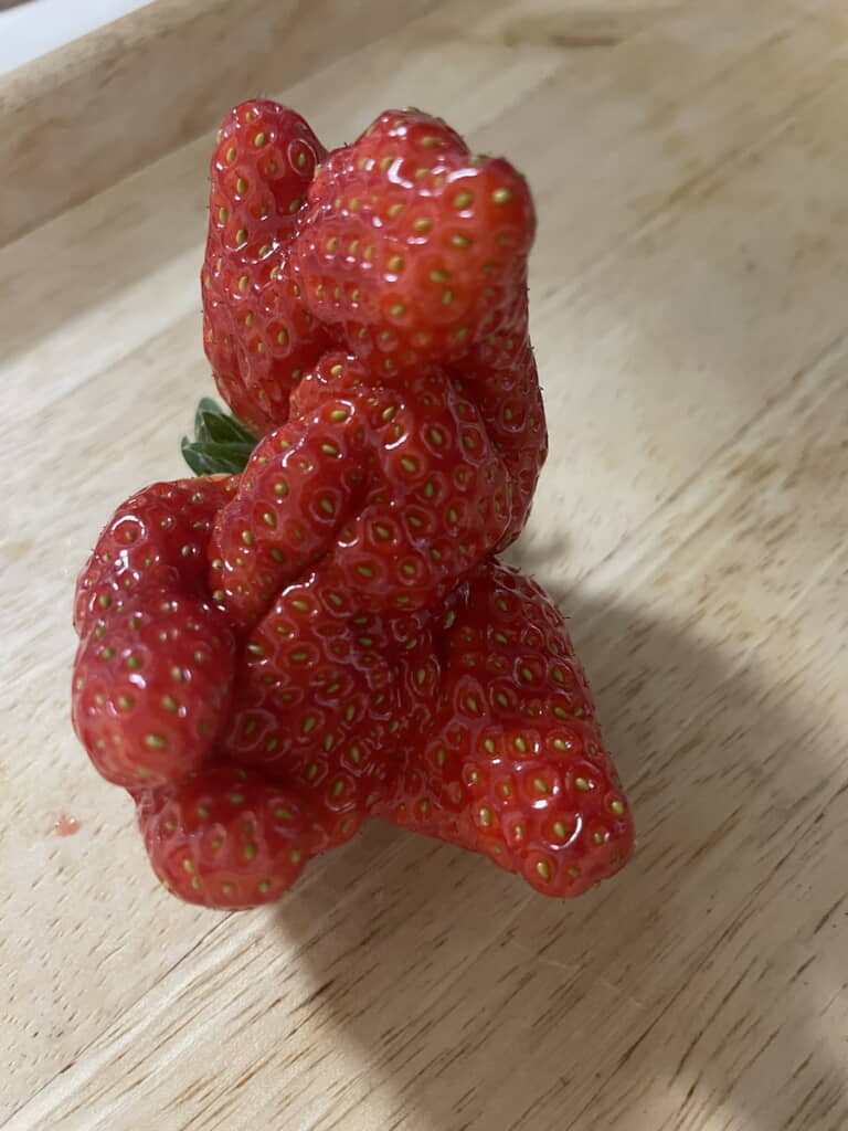 えっ、合体しちゃった……!?
