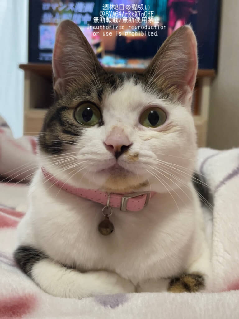 今では表情も体つきも柔らかくなりました!