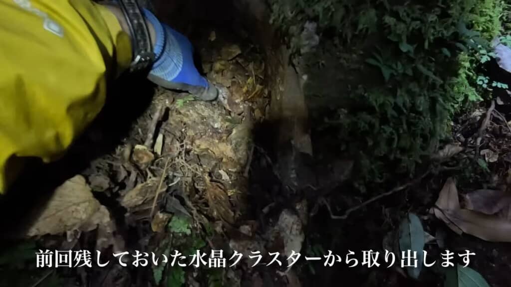 前回探索した際に見つけたガマ