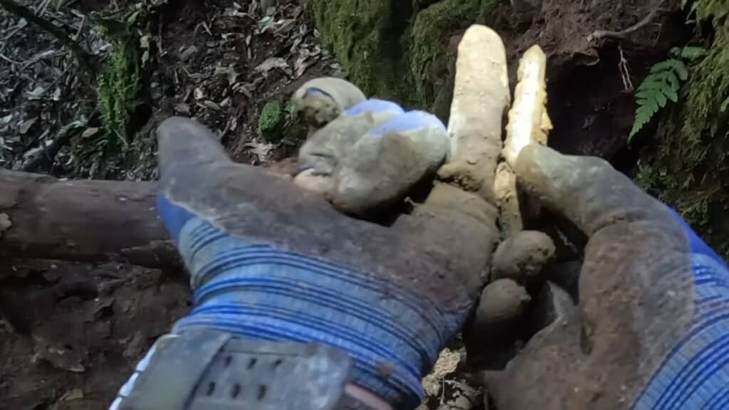 投稿者の小指くらいはある水晶