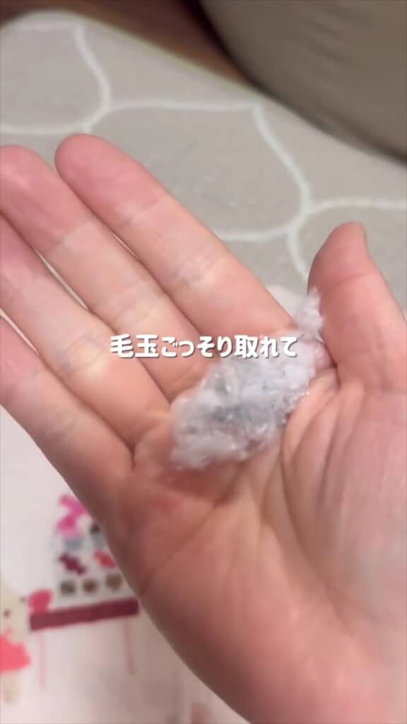 毛玉がごっそり！