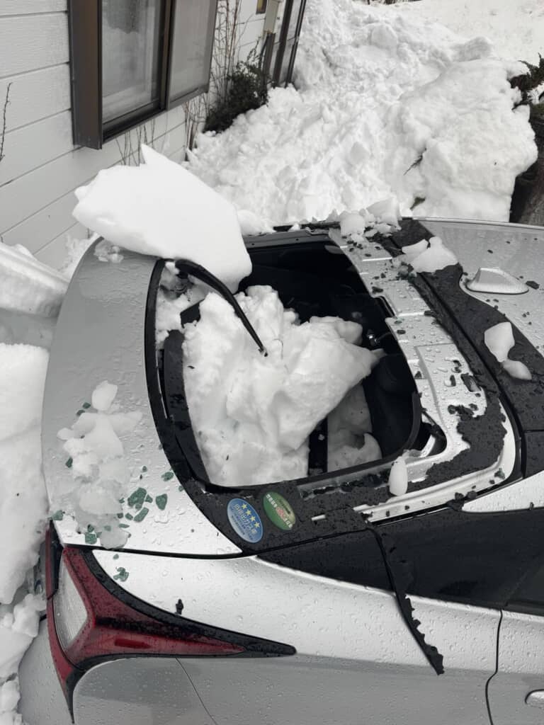 豪雪地帯の雪の日