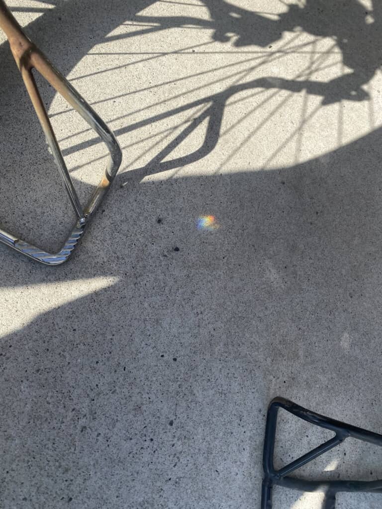 娘ちゃんが見つけた虹の赤ちゃん(画像提供:34歳平凡女さん/@giragiraonna)