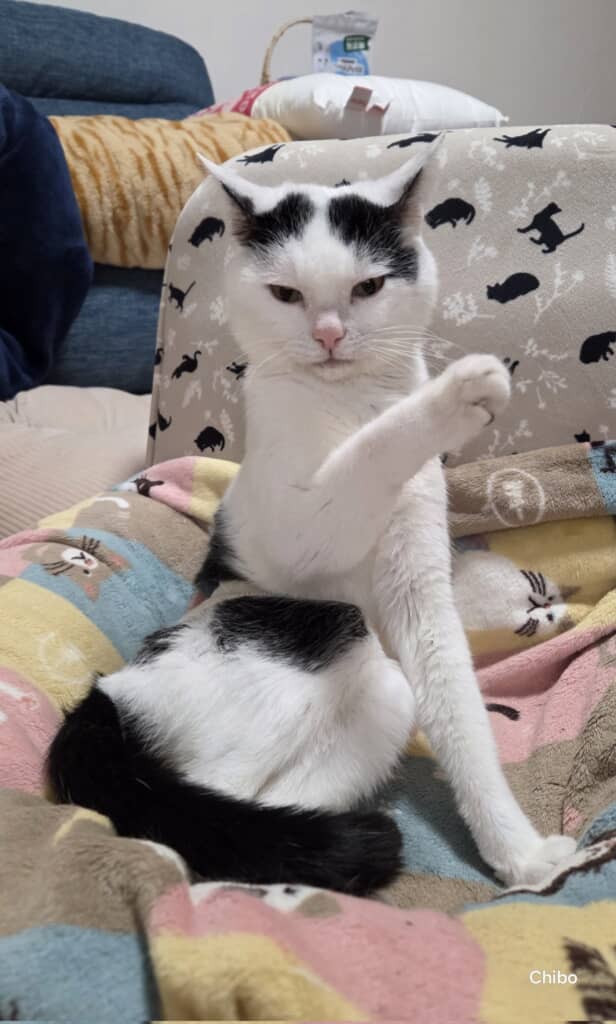 「起こしてくる方はあちらへ」