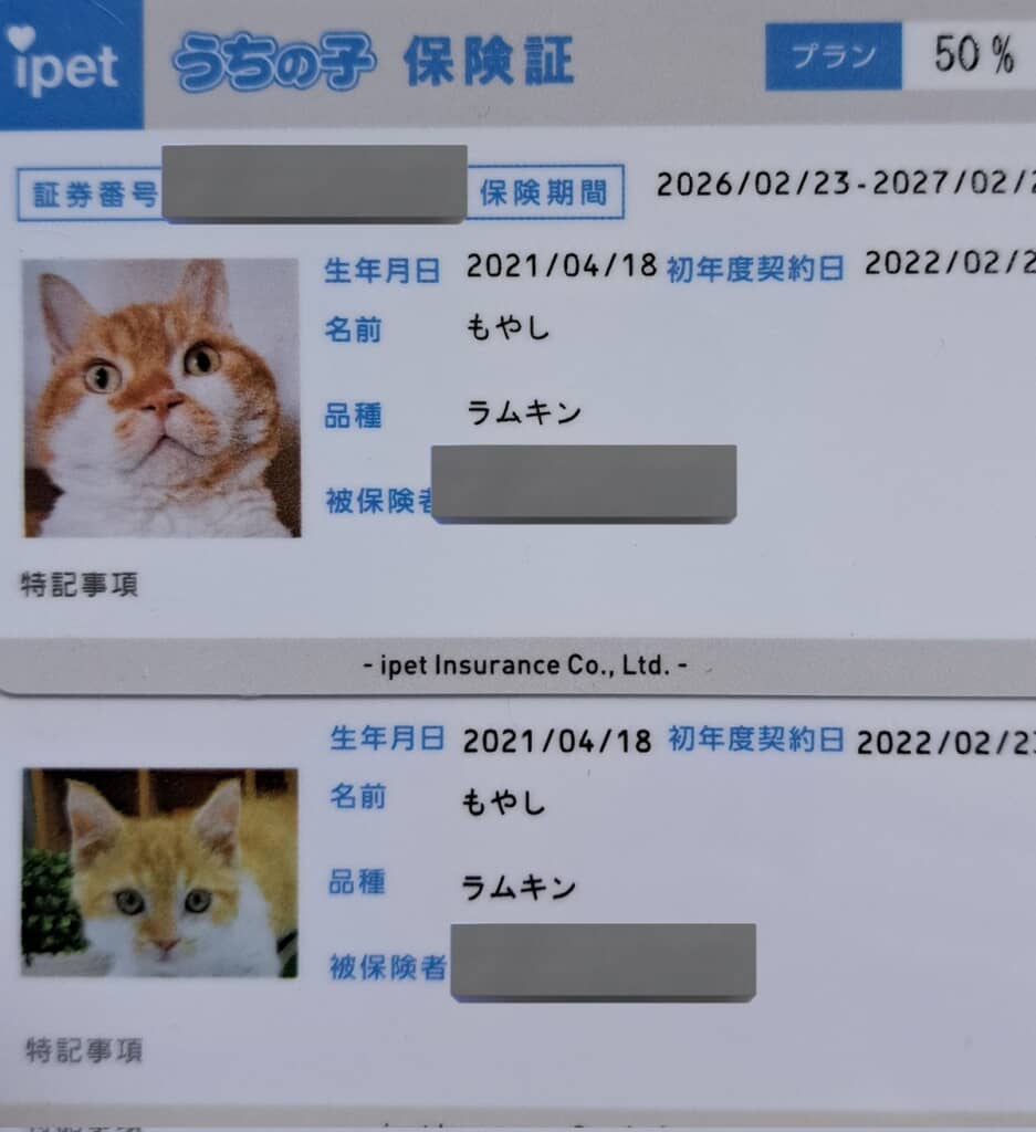 保険証の写真、だいぶ変わりましたね……