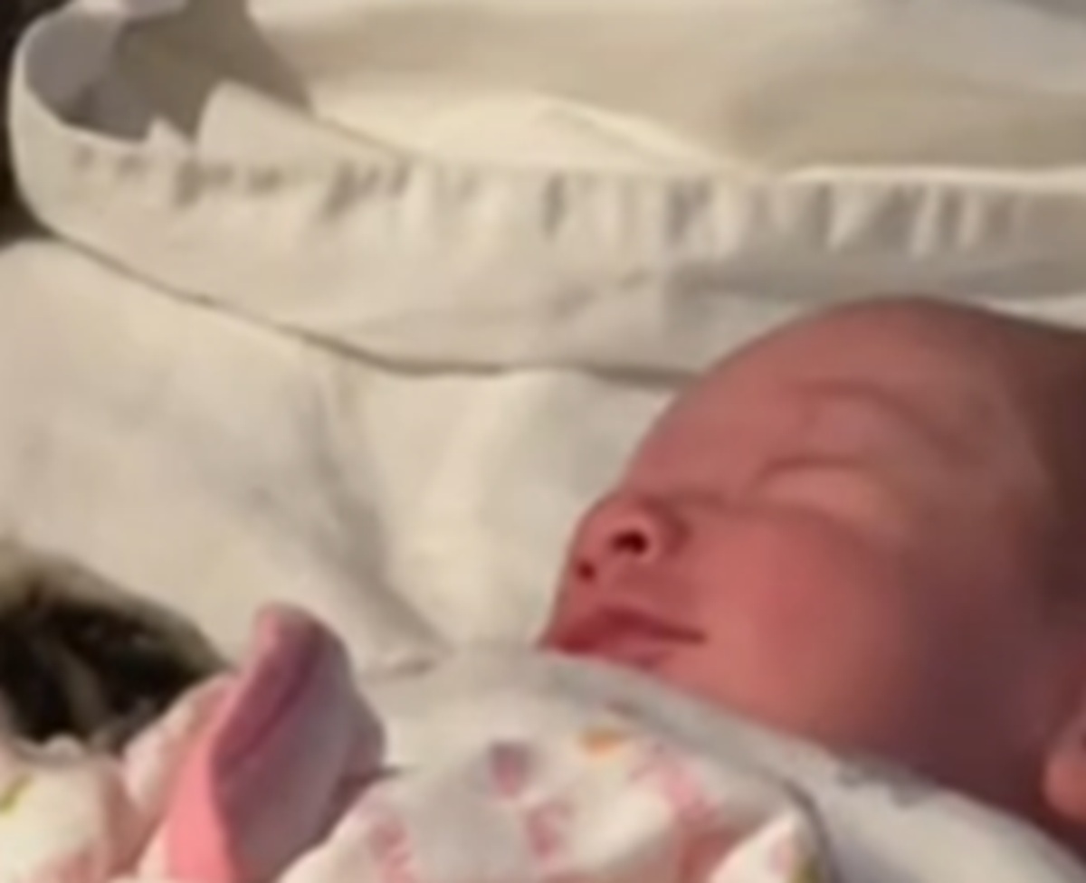 「愛にあふれてる」「猫も待ってたんだろうね」　赤ちゃんが家にやってきた→子猫が取った“意外な行動”が320万再生【海外】 | ライフスタイル ねとらぼ