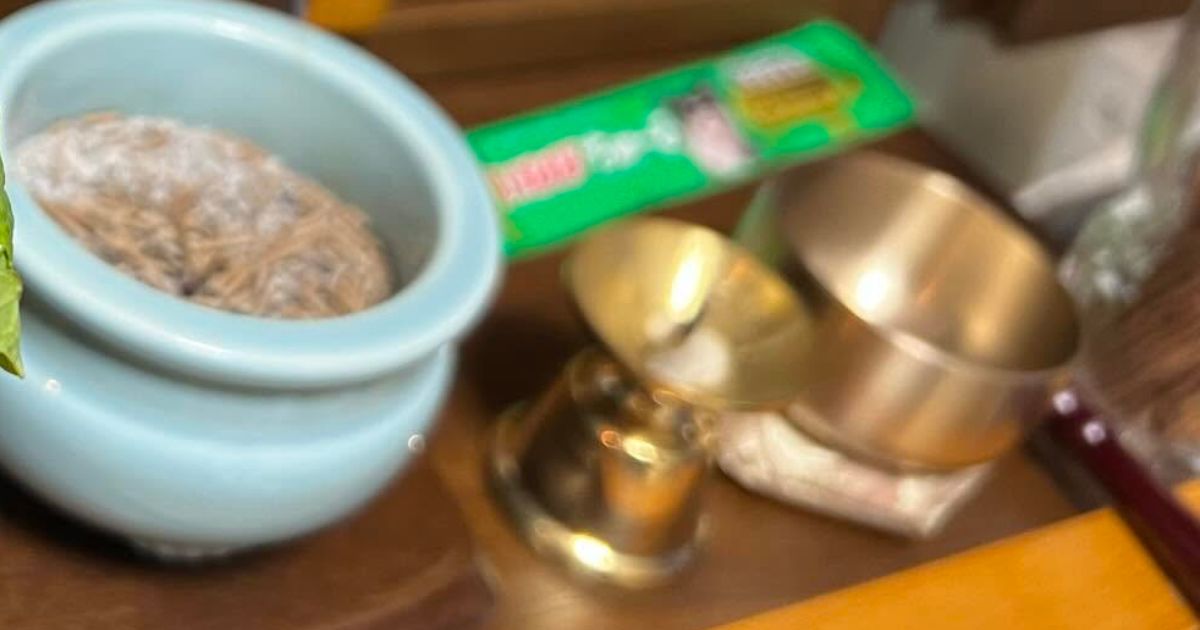 愛犬の仏壇に供える花、買いそびれてしまって……飼い主「これで許してね」→まさかの光景に「最高〜の御仏前」「春を感じてはりますよ」（1/3） | ライフスタイル ねとらぼ