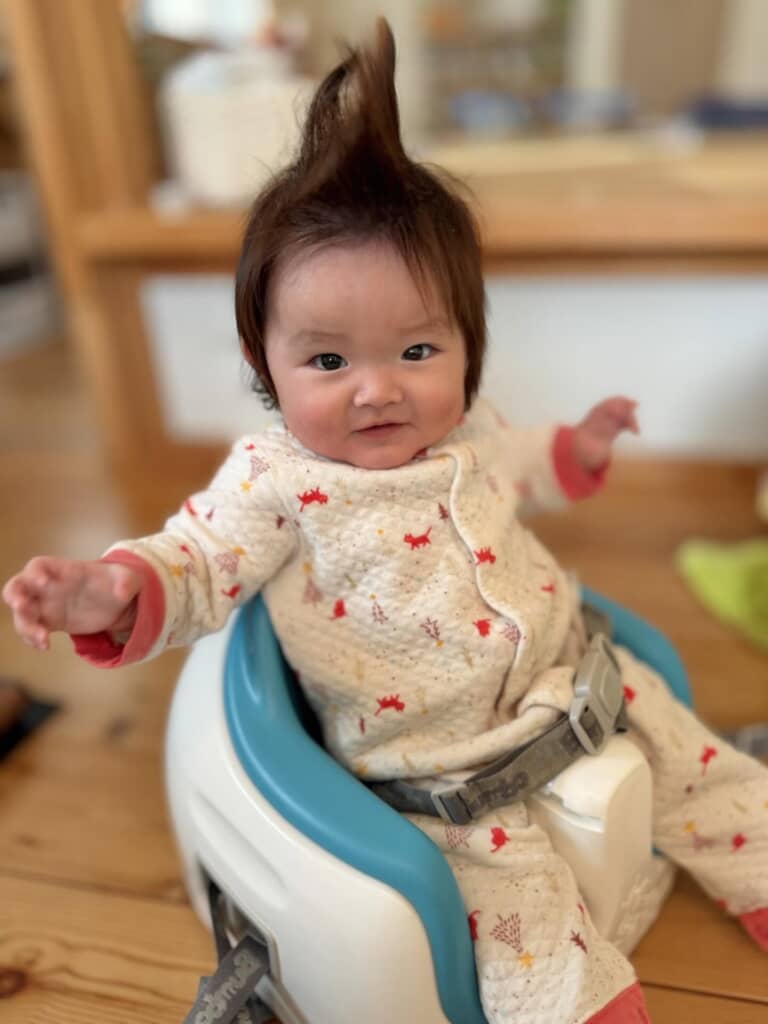 正面から見てもヘラクレスオオカブト