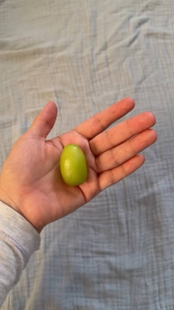 親の手のひらにぽつんとたたずむブドウ