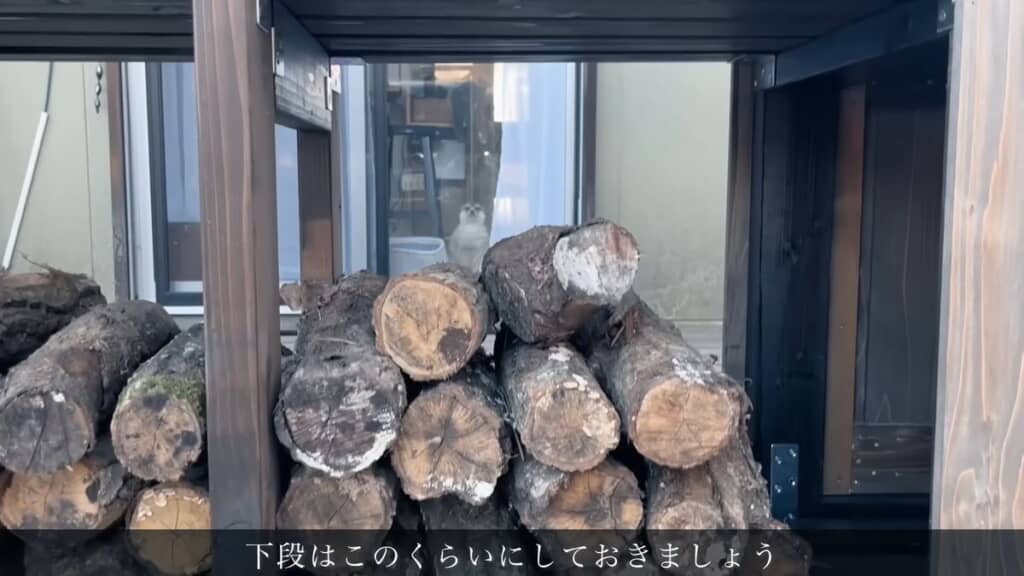 ミーアキャットの視界を遮らないよう棚の下段は隙間をあけておく