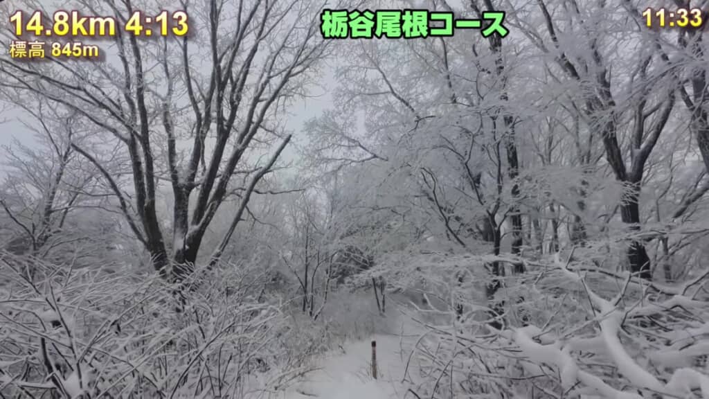 栃谷尾根コースの風景