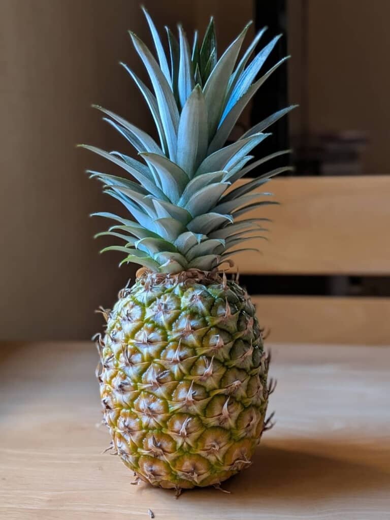 ヘタから育てた実家のパイナップル